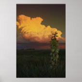 ワイオミング ポスター (正面)