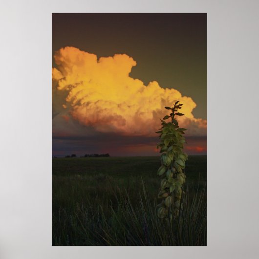 ワイオミング ポスター (正面)