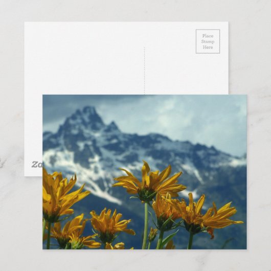 ワイオミング ポストカード (正面/裏面)