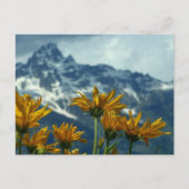 ワイオミング ポストカード (正面)