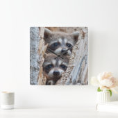 ワイオミング、リンカーン郡のアライグマ スクエア壁時計 (ホーム)