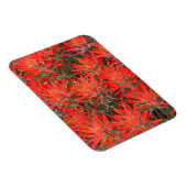 ワイオミング、リンカーン郡、砂漠のペイントブラシ マグネット (右側)