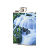 ワイオミング。米国期間中の春を定期的に行う フラスク (左)