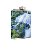 ワイオミング。米国期間中の春を定期的に行う フラスク (右)