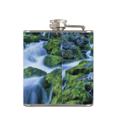 ワイオミング。米国期間中の春を定期的に行う フラスク (裏面)