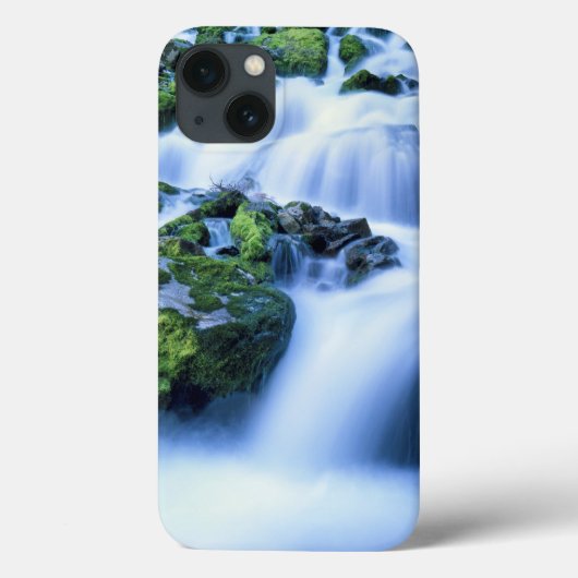 ワイオミング。米国期間中の春を定期的に行う Case-Mate iPhoneケース (裏面)