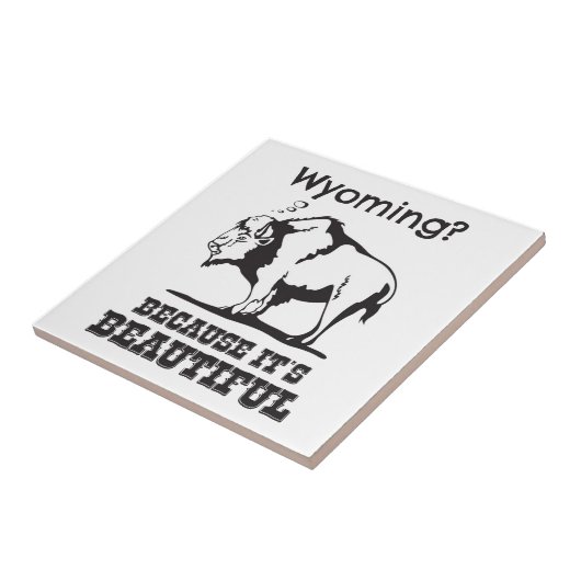 ワイオミング？美しいから タイル (側面)