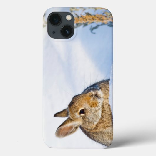 ワイオミング、Sublette郡のNuttallのCottontail 1 Case-Mate iPhoneケース (裏面)