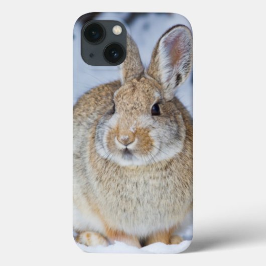 ワイオミング、Sublette郡のNuttallのCottontail 2 Case-Mate iPhoneケース (裏面)