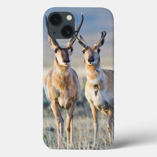 ワイオミング、Sublette郡のPronghornの木びき台 Case-Mate iPhoneケース (裏面)