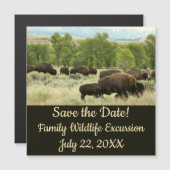 ワイオミンバイソン自然動物写真 (正面/裏面)