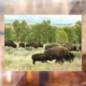 ワイオミンバイソン自然動物写真 ウィンドウサイン (シート2)