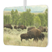 ワイオミンバイソン自然動物写真 カーエアーフレッシュナー (左)