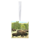 ワイオミンバイソン自然動物写真 キューブオーナメント (右)