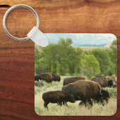ワイオミンバイソン自然動物写真 キーホルダー (正面)