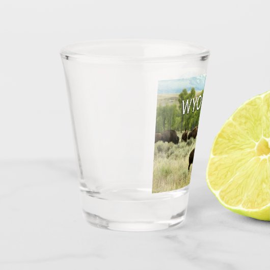 ワイオミンバイソン自然動物写真 ショットグラス (左)