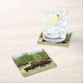 ワイオミンバイソン自然動物写真 スクエアペーパーコースター (インサイチュ)