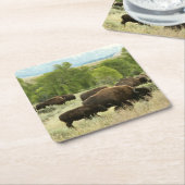 ワイオミンバイソン自然動物写真 スクエアペーパーコースター (アングル)
