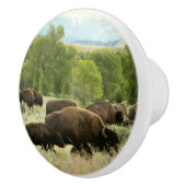 ワイオミンバイソン自然動物写真 セラミックノブ (右)