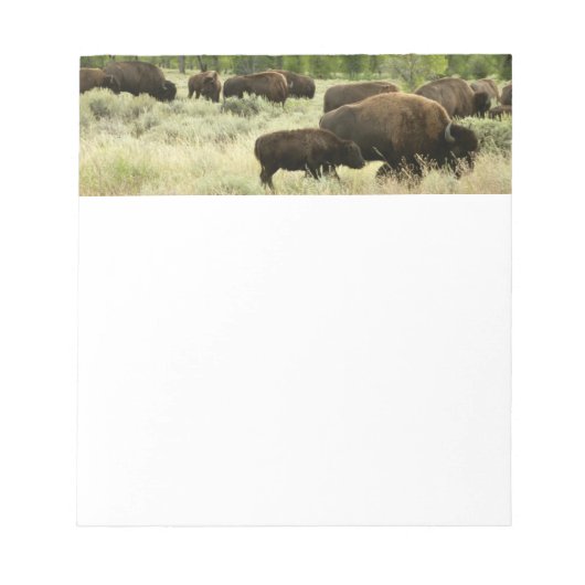 ワイオミンバイソン自然動物写真 ノートパッド (正面)
