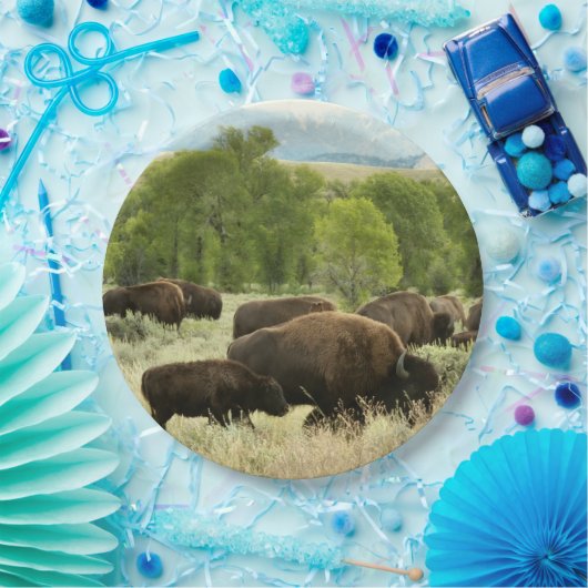 ワイオミンバイソン自然動物写真 ペーパープレート (パーティー)