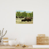 ワイオミンバイソン自然動物写真 ポスター (キッチン)