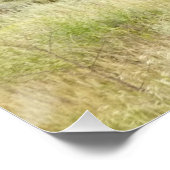 ワイオミンバイソン自然動物写真 ポスター (コーナー)