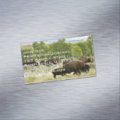 ワイオミンバイソン自然動物写真 マグネット名刺 (インサイチュ)