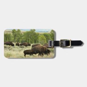 ワイオミンバイソン自然動物写真 ラゲッジタグ