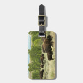 ワイオミンバイソン自然動物写真 ラゲッジタグ (正面縦)