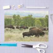 ワイオミンバイソン自然動物写真 薄葉紙 (クラフト)