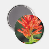 ワイオミンペイントブラシ マグネット (正面/裏面)