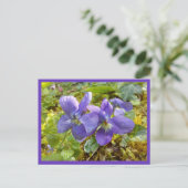 ワイオレットの絵葉書 ポストカード (スタンド正面)