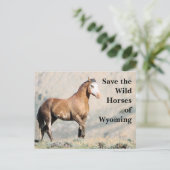 ワイオ救ミングポストカードのワイルドウマ ポストカード (スタンド正面)
