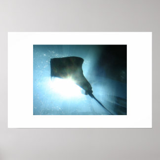 ワイキキスティンレイ ポスター