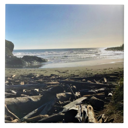 ワイキキビーチ，ケープ失望，ワシントン タイル (正面)