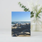 ワイキキビーチ，ケープ失望，ワシントン ポストカード (スタンド正面)