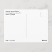 ワイキキビーチ，ケープ失望，ワシントン ポストカード (裏面)