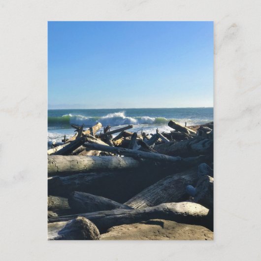 ワイキキビーチ，ケープ失望，ワシントン ポストカード (正面)