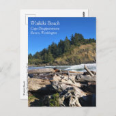 ワイキキビーチ,ケープ失望,ワシントン ポストカード (正面/裏面)