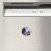 ワイキキ冷凍機マグネット マグネット (インサイチュ (食洗機))