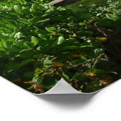 ワイキキ ポスター (角)