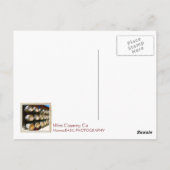 ワイクールン国/樽はがき! ポストカード (裏面)