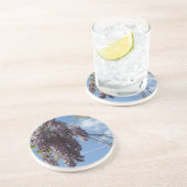 ワイステリアコースター コースター (側面)