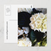 ワイスブリュヘンダーバレンストック ポストカード (正面/裏面)