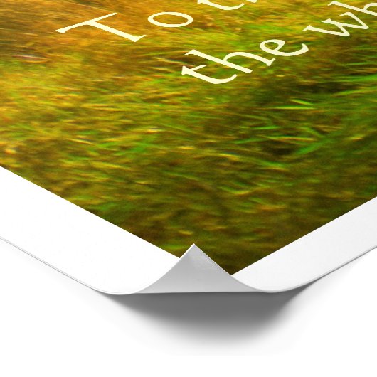 ワイズツリー ポスター (角)