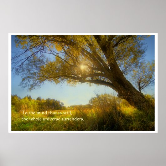 ワイズツリー ポスター (正面)