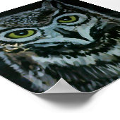 ワイズフクロウ夜 ポスター (角)
