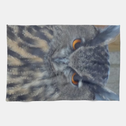 ワイズワン キッチンタオル (横)