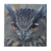 ワイズワン タイル (正面)